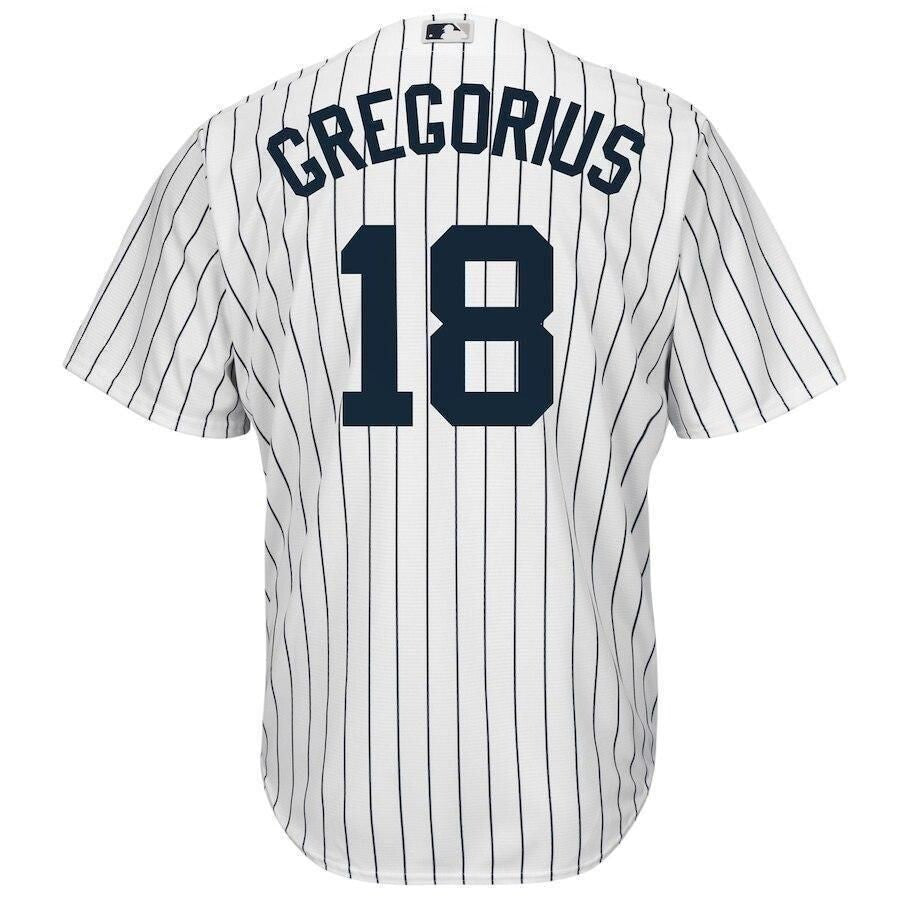 Didi Gregorius New York Yankees Baseball Player Jersey